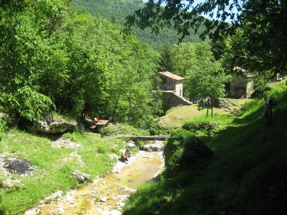 Zalesněná krajina Učky nad Mošćeničkou Dragou